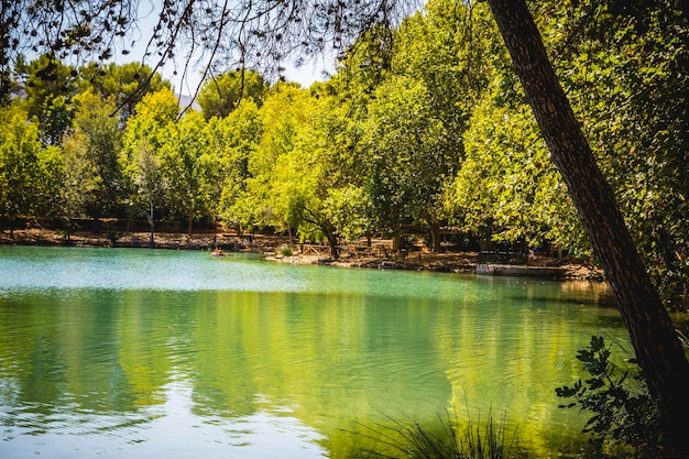 paisaje con bosques y lago natural en Valencia, España