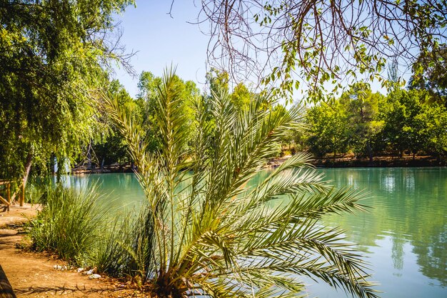 paisaje con bosques y lago natural en Valencia, España