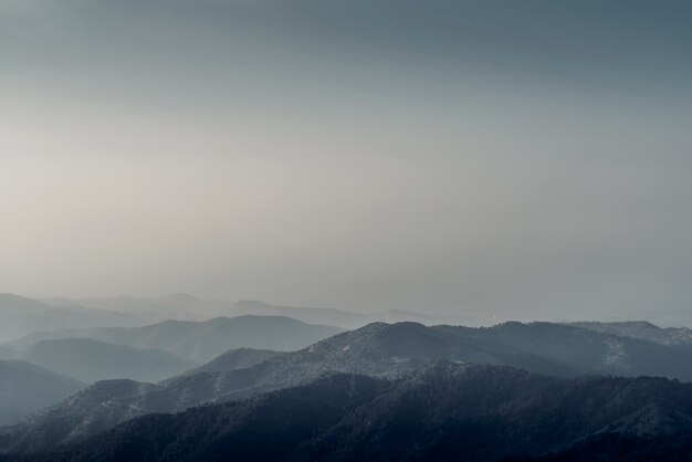 Paisaje de bosques y montañas