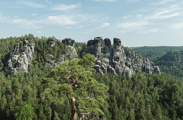 Paisaje en los bosques y rocas del Parque Nacional de Suiza Sajona Alemania