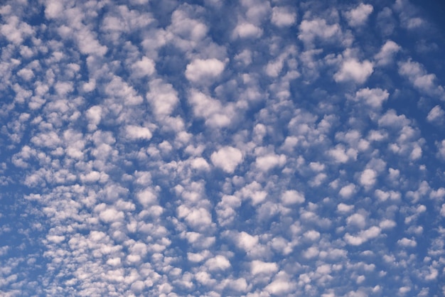 Paisaje brillante de nubes hinchadas blancas esparcidas en el cielo azul claro.