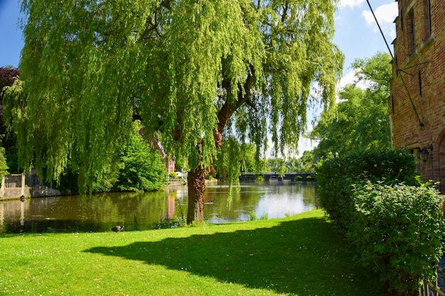 Paisaje de Brujas