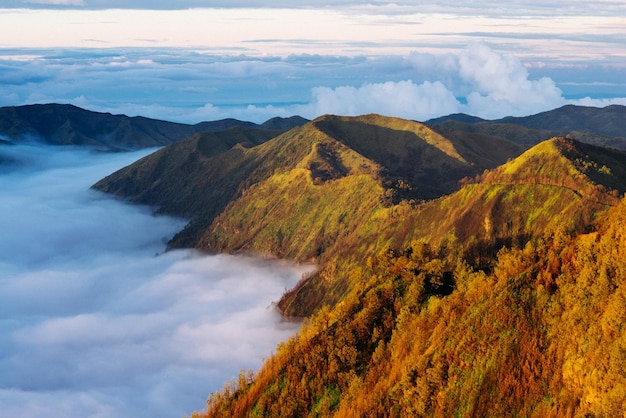 Paisaje brumoso del amanecer