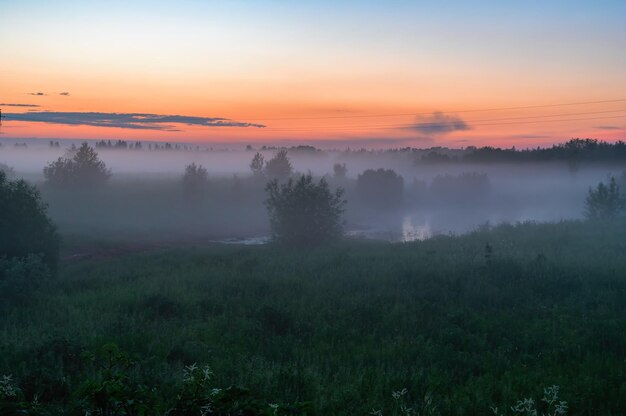 Paisaje de un brumoso atardecer de verano sobre los campos y el bosque