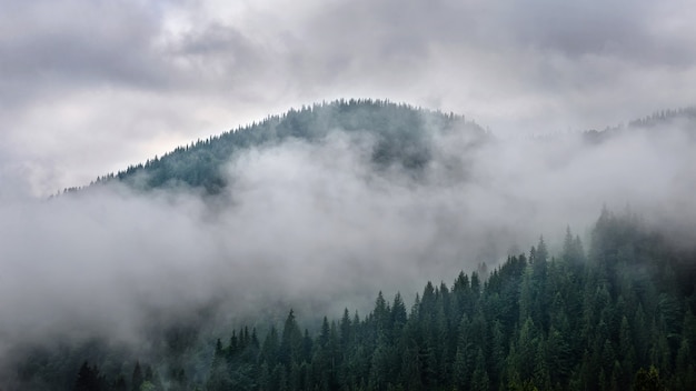 Paisaje brumoso de bosque de montaña con cielo de ensueño y nubes después de la lluvia