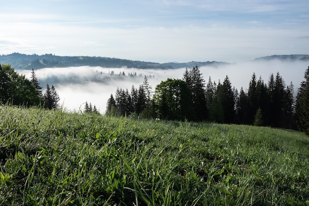 Paisaje brumoso de la mañana en las montañas