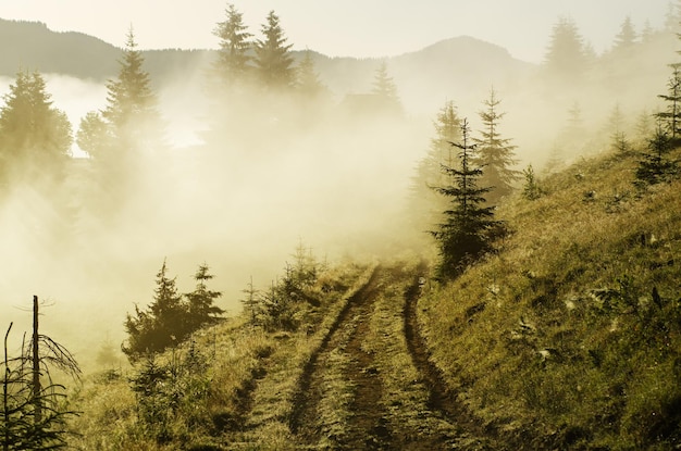 Paisaje brumoso de la mañana