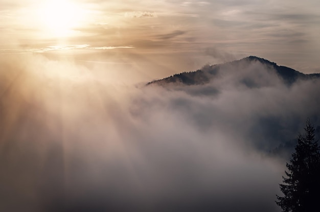 Paisaje brumoso de la mañana