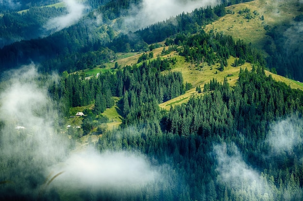 Paisaje brumoso de la mañana