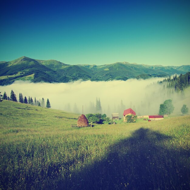 Paisaje brumoso de la mañana