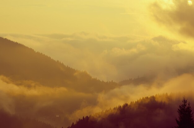 Paisaje brumoso de la mañana