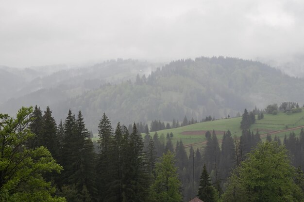 Paisaje brumoso en las montañas