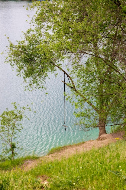 Paisaje con bungee en un árbol junto al lago