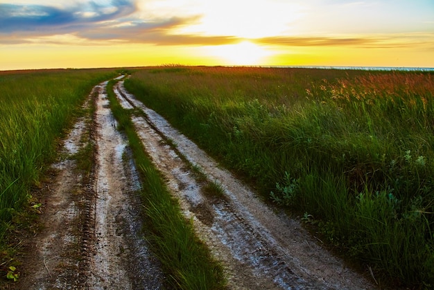 Paisaje con camino de baches en estepa