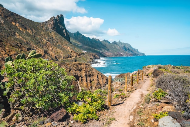 Paisaje con camino pintoresco a través del paisaje rocoso y las crestas de los picos de las montañas Las olas azules del océano Atlántico hacen espuma Tenerife Parque Nacional de Anaga Patrimonio de la Unesco Roque de las Animas