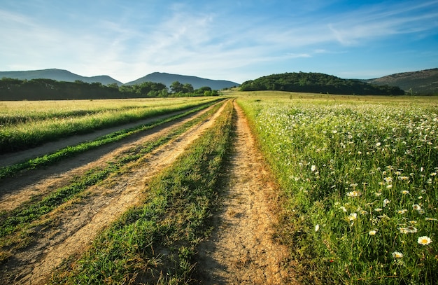 Paisaje con camino de tierra entre pradera en la primavera. Agrícolas, campos y montaña.