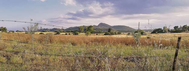 Foto paisaje campestre de cerdeña, imagen de banner con espacio de copia