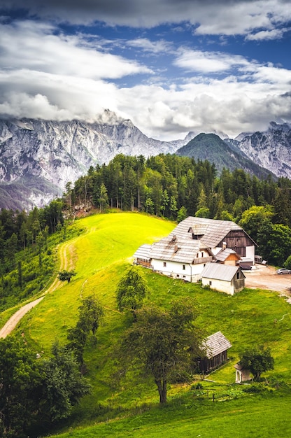 Paisaje de campo alpino de verano con altas montañas y granjas en el claro del bosque Valle de Logar Logarska Dolina desde la carretera panorámica Solcava Eslovenia