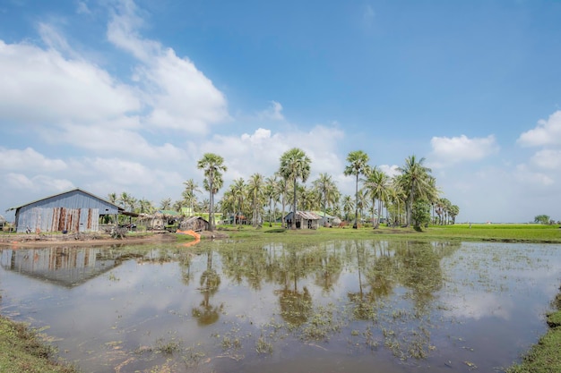 Paisaje de campo de Camboya