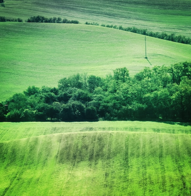 Foto paisaje de campo de campos verdes