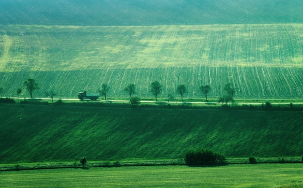 Paisaje de campo de campos verdes