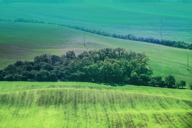 Paisaje de campo de campos verdes