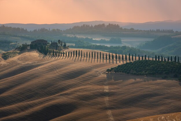 Paisaje de campo entre colinas al atardecer en Toscana Italia Campos y camino de cipreses