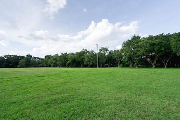 Foto paisaje de campo de hierba y parque público de medio ambiente verde