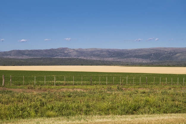 Paisaje de un campo montañas y cielo azulx9