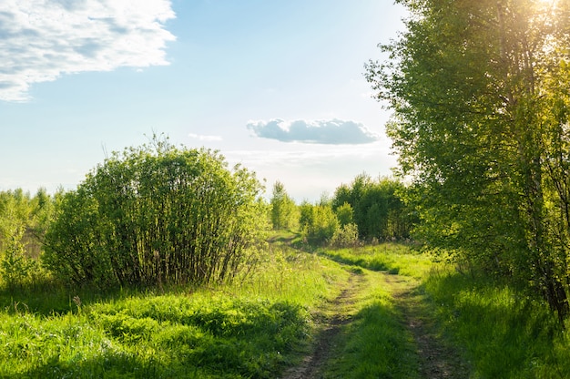 Foto paisaje de campo de la naturaleza