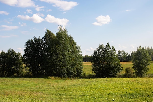 Paisaje de campo verde y cielo con nubes.