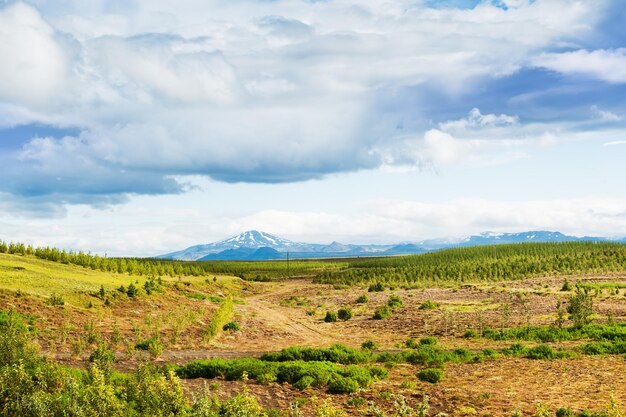 Paisaje de campo y vista del volcán Hekla en Islandia.