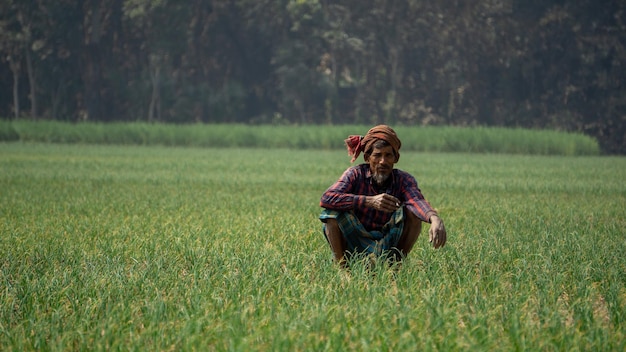 Paisaje de campos agrícolas en Bangladesh Granjas de cebolla en el sur de Asia Agricultor trabajando en campo de cebolla Pueblo Pangsha Ciudad Rajbari Foto tomada el 3 de febrero de 2023