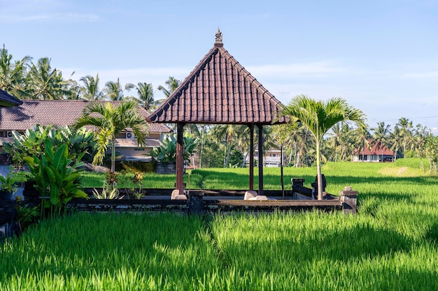 Paisaje con campos de arroz verde y un cenador de piedra en la isla de Bali Indonesia Naturaleza y concepto de viaje