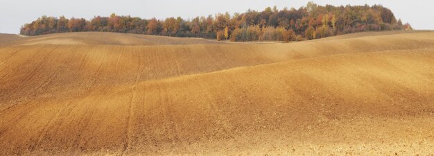 Paisaje con campos y colinas