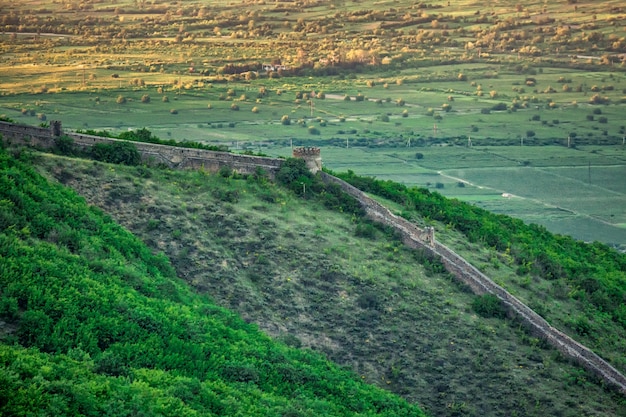 Paisaje de campos con hierba verde