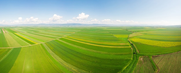 Paisaje de campos verdes en Rumania