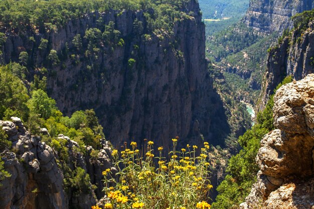 Paisaje del Cañón Tazi en el valle y acantilado de Manavgat Turquía