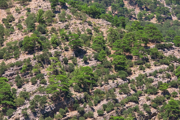 El paisaje del Cañón Verde