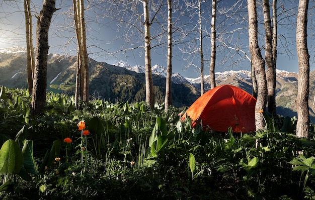 Paisaje con carpa naranja en el bosque de montaña.