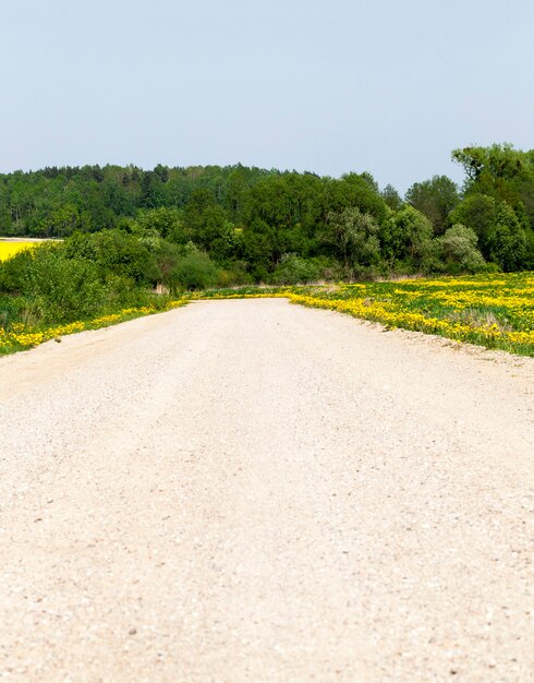 Foto paisaje de carretera de arena en verano, verano o primavera