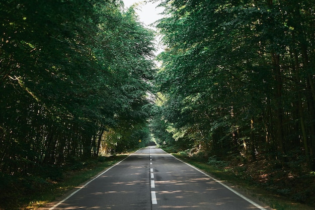 Paisaje con carretera asfaltada vacía a través de bosques en verano Hermoso paisaje rural de carretera asfaltada Hermosa calzada Árboles con follaje verde y cielo soleado