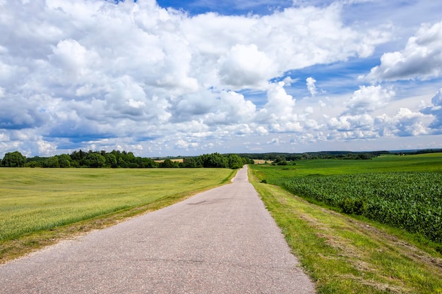 Paisaje en la carretera asfaltada para vehículos.