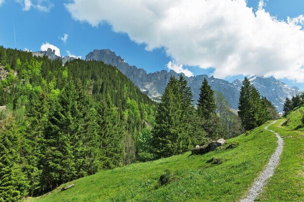 Paisaje de la carretera contra el fondo de las montañas de los Alpes