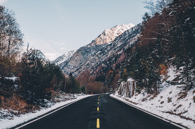 Paisaje de carretera de invierno con coloridos árboles y montañas nevadas en el fondo en un día soleado