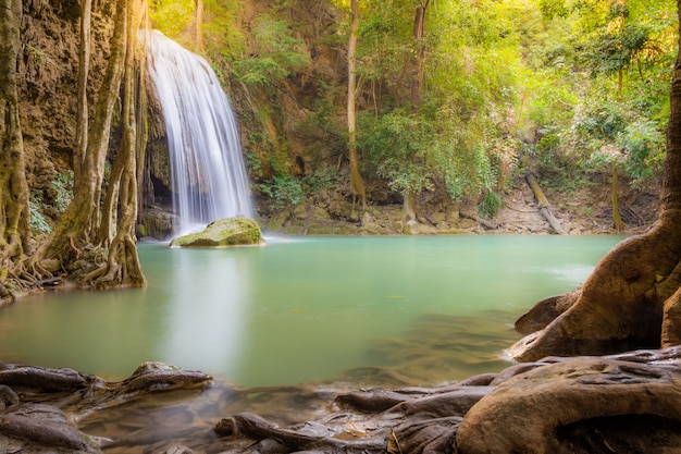 Paisaje de una cascada en el bosque