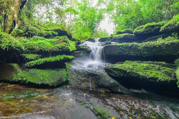 Paisaje de la cascada en la selva profunda de Bolaven Plateau, Champasak con musgo verde