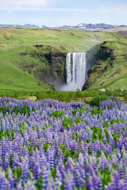 Paisaje con cascada Skogafoss Islandia