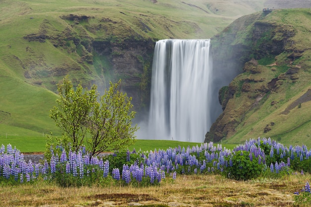 Paisaje con cascada Skogafoss