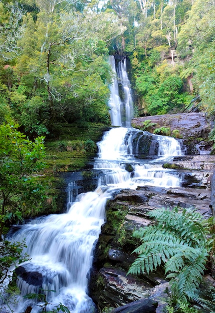 Foto el paisaje de la cascada